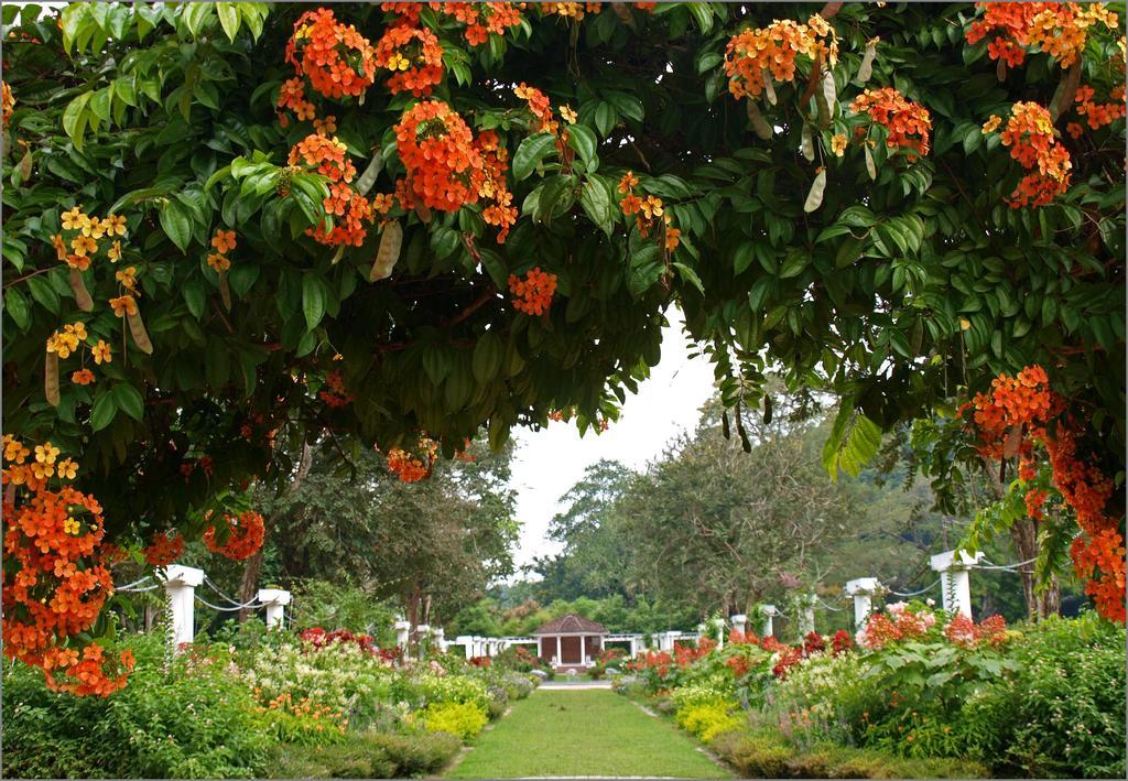 جورج تاون Cozy Mount Erskine Homestay المظهر الخارجي الصورة