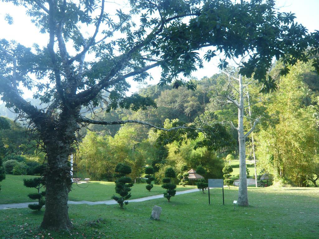جورج تاون Cozy Mount Erskine Homestay المظهر الخارجي الصورة