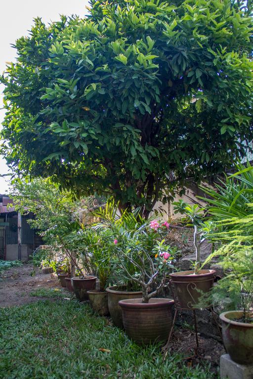 جورج تاون Cozy Mount Erskine Homestay المظهر الخارجي الصورة